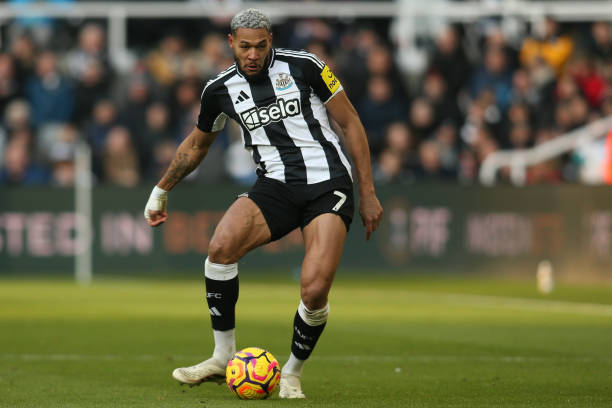 并重新激起 并重新激起